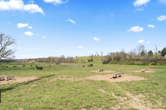 635 N Rabbit Rd, Stella, MO 64867