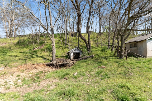 635 N Rabbit Rd, Stella, MO 64867