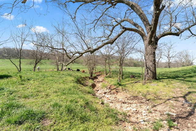 635 N Rabbit Rd, Stella, MO 64867