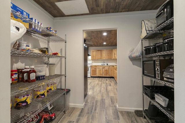 296 Lodgepole Dr, Ozark, MO 65721 - pantry featuring a sink