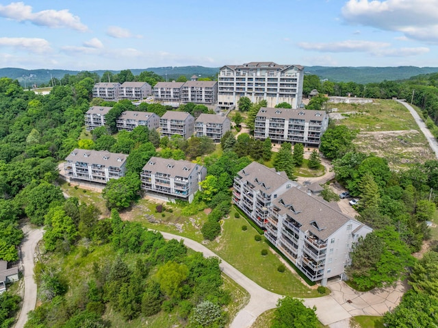 13 Treehouse Ln Unit 4, Branson, MO 65616 - aerial view