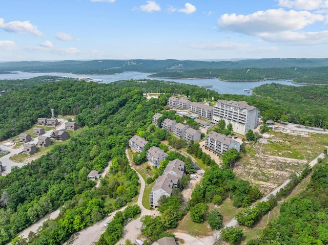13 Treehouse Ln Unit 4, Branson, MO 65616 - bird's eye view of a large body of water, a heavily wooded area, and apartment complex