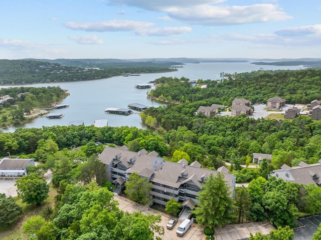 13 Treehouse Ln Unit 4, Branson, MO 65616 - aerial view of residential area featuring a large body of water