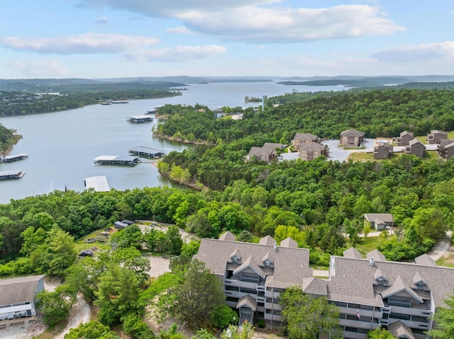 13 Treehouse Ln Unit 4, Branson, MO 65616 - aerial view of a nearby body of water and a forest