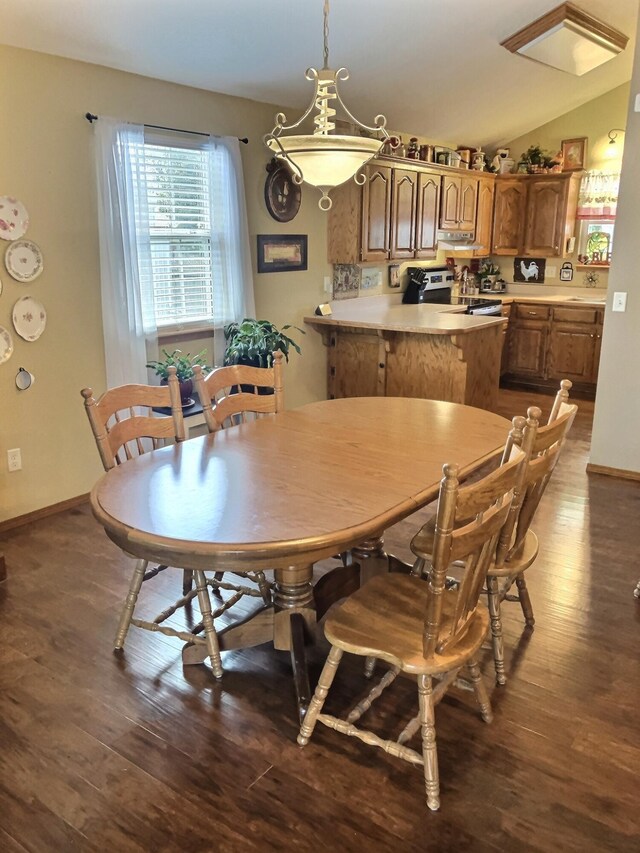 1810 Meadows Dr, Neosho, MO 64850 - dining area featuring dark wood-style floors, lofted ceiling, and baseboards