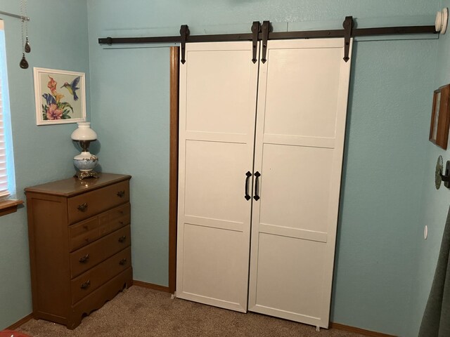1810 Meadows Dr, Neosho, MO 64850 - view of closet