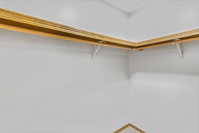 4824 S Gold Rd, Battlefield, MO 65619 - view of spacious closet
