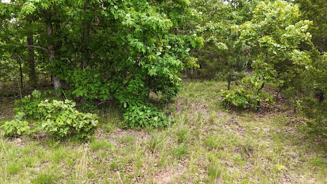 TRACT19A Pine Rdg E, Cabool, MO 65689