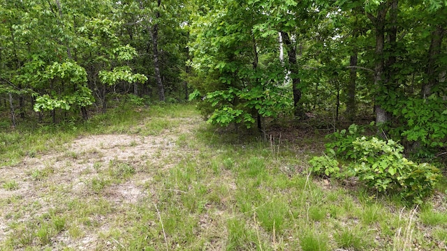 TRACT19A Pine Rdg E, Cabool, MO 65689