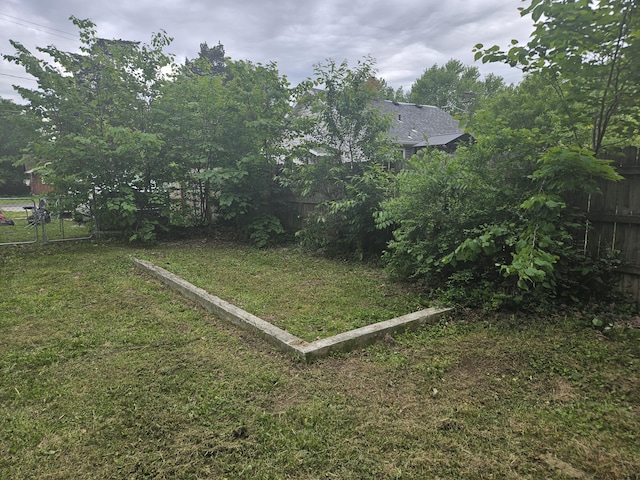 1629 W Webster St, Springfield, MO 65802 - view of yard