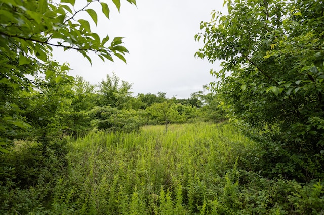 TBD N Farm Rd Unit 105, Willard, MO 65781