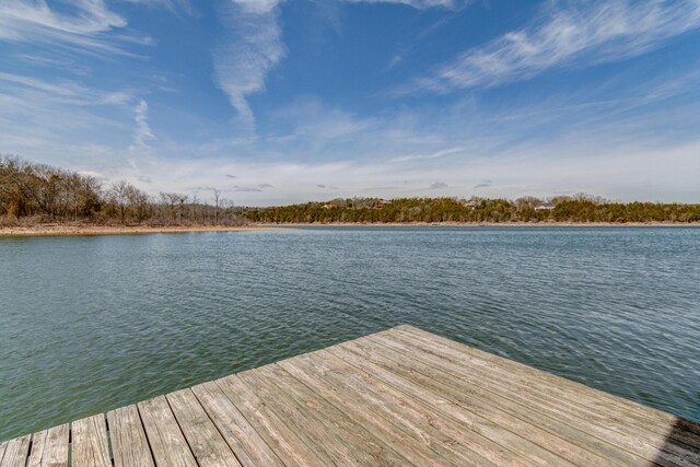 150 Green Acres Rd, Lampe, MO 65681 - photo 8