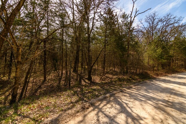 150 Green Acres Rd, Lampe, MO 65681 - photo 20