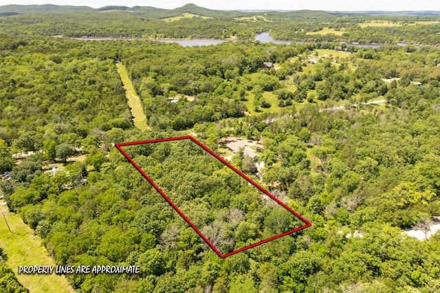 150 Green Acres Rd, Lampe, MO 65681 - photo 2