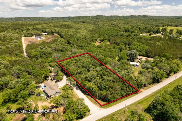 150 Green Acres Rd, Lampe, MO 65681 - photo 4