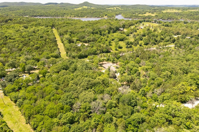 150 Green Acres Rd, Lampe, MO 65681 - photo 19