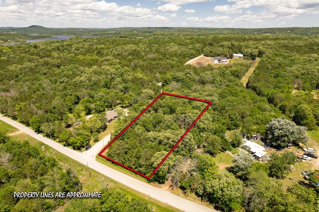 150 Green Acres Rd, Lampe, MO 65681 - photo 3