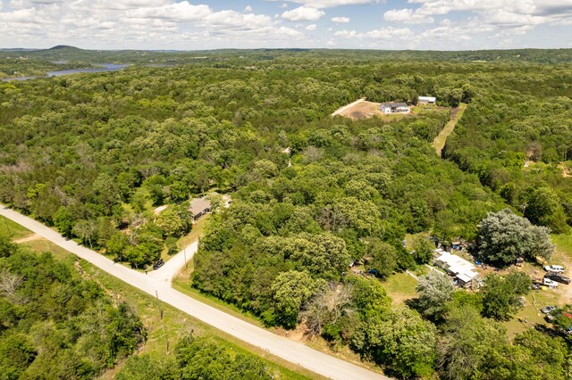 150 Green Acres Rd, Lampe, MO 65681 - photo 18