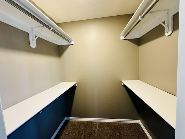 4692 S 125th Rd, Bolivar, MO 65613 - spacious closet with carpet floors