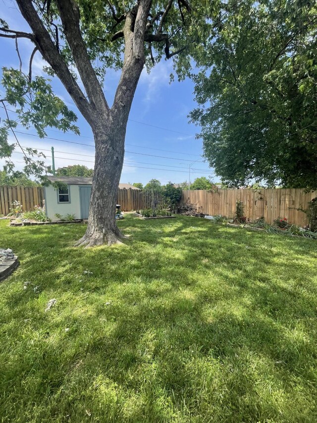 3729 S Parklane Ave, Springfield, MO 65807 - view of yard with an outdoor structure