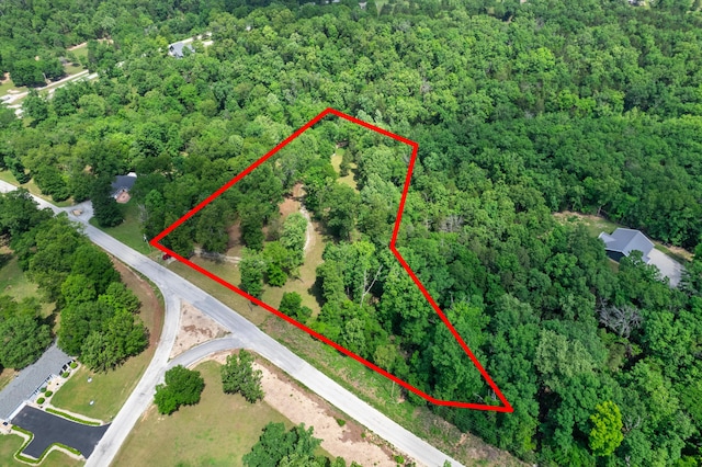 501 Lake Point Rd, Kissee Mills, MO 65680