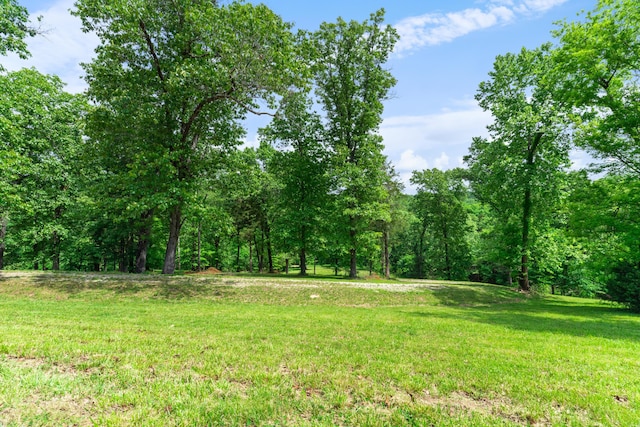 501 Lake Point Rd, Kissee Mills, MO 65680