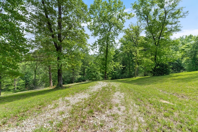 501 Lake Point Rd, Kissee Mills, MO 65680