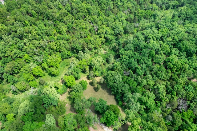 501 Lake Point Rd, Kissee Mills, MO 65680