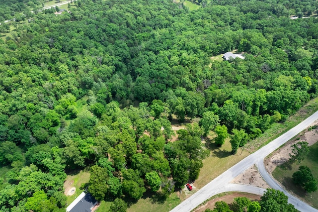501 Lake Point Rd, Kissee Mills, MO 65680