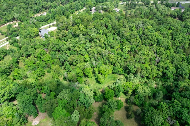501 Lake Point Rd, Kissee Mills, MO 65680