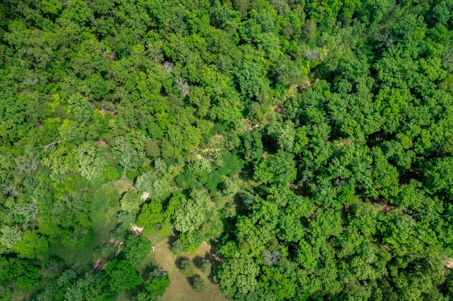 501 Lake Point Rd, Kissee Mills, MO 65680