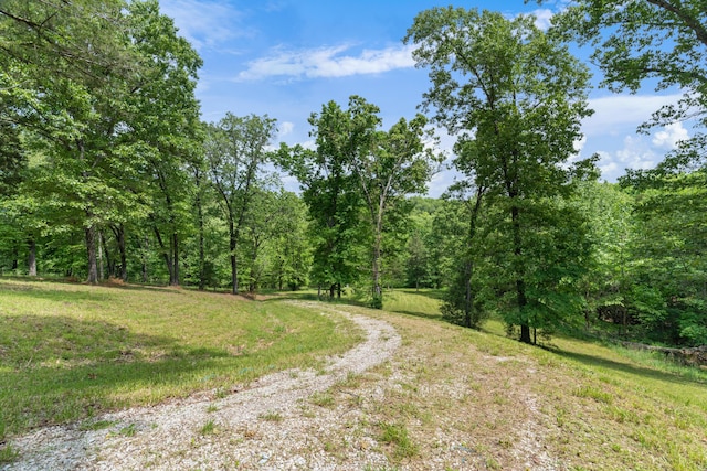 501 Lake Point Rd, Kissee Mills, MO 65680