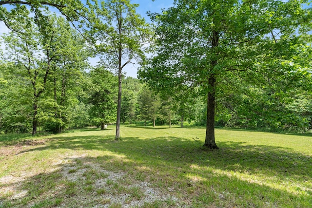 501 Lake Point Rd, Kissee Mills, MO 65680