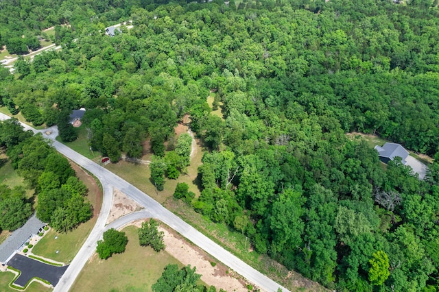 501 Lake Point Rd, Kissee Mills, MO 65680