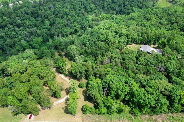 501 Lake Point Rd, Kissee Mills, MO 65680