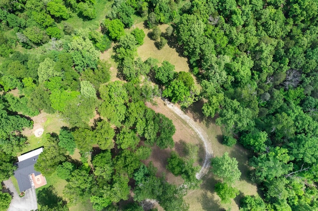 501 Lake Point Rd, Kissee Mills, MO 65680