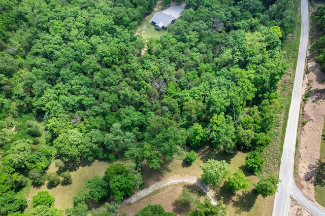501 Lake Point Rd, Kissee Mills, MO 65680