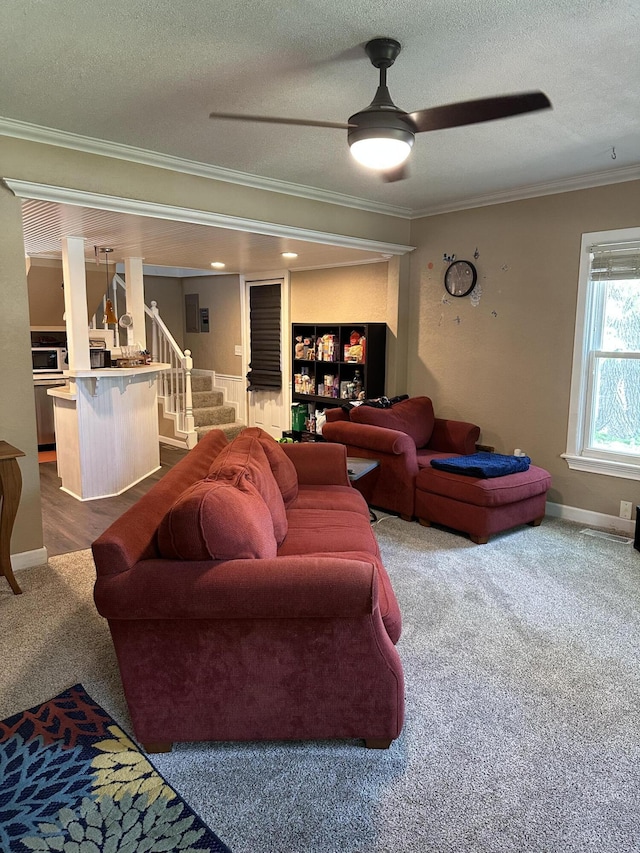 645 N Walnut Ave, Republic, MO 65738 - living room with ornamental molding, dark colored carpet, stairs, ceiling fan, and a textured ceiling