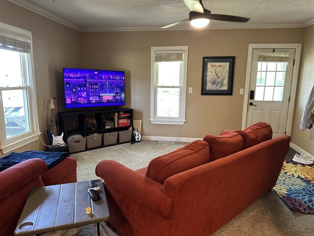 645 N Walnut Ave, Republic, MO 65738 - living room with carpet, ceiling fan, ornamental molding, and baseboards