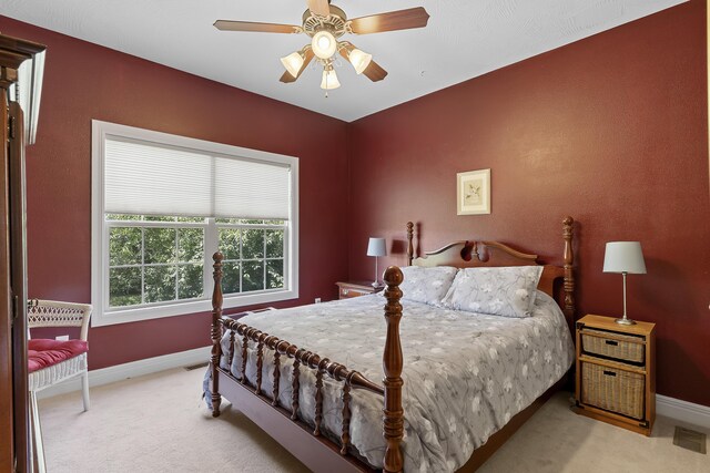 4855 S Tanager Ave, Battlefield, MO 65619 - photo 38