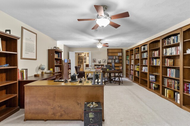 4855 S Tanager Ave, Battlefield, MO 65619 - photo 46