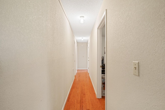 1356 State Highway 32, Long Lane, MO 65590 - hallway with light wood-style flooring and baseboards