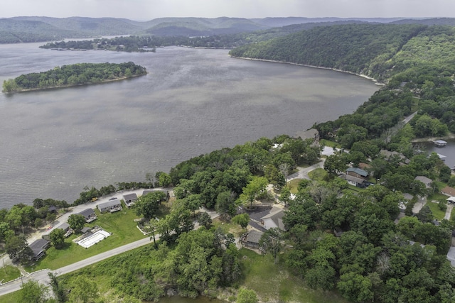 1605 Hideaway Rd, Galena, MO 65656 - view of property location featuring a nearby body of water and a heavily wooded area