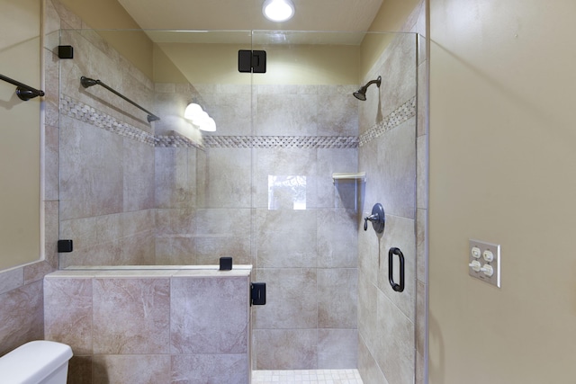 1605 Hideaway Rd, Galena, MO 65656 - full bathroom with toilet and a stall shower