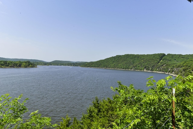 1605 Hideaway Rd, Galena, MO 65656 - water view with a heavily wooded area