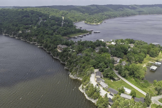 1605 Hideaway Rd, Galena, MO 65656 - view of property location with a large body of water and a heavily wooded area