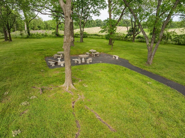 2310 Lakeside Ct, Ozark, MO 65721 - view of green lawn