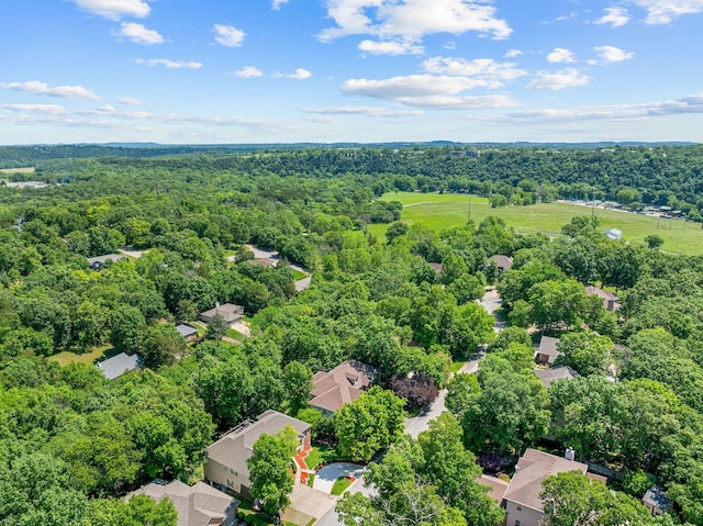 261 Country Bluff Dr, Branson, MO 65616 - aerial perspective of suburban area with a forest