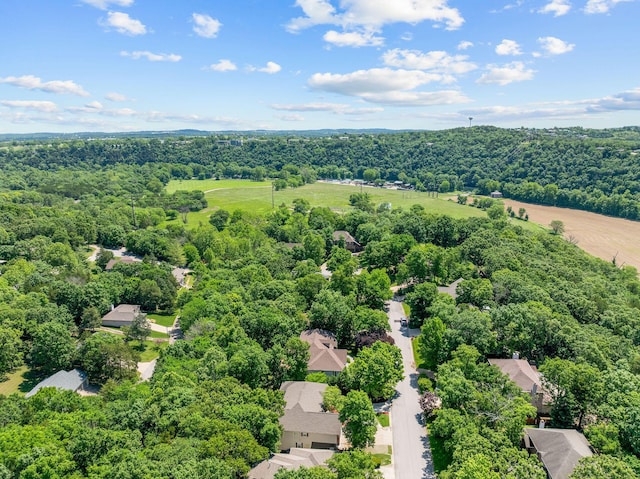 261 Country Bluff Dr, Branson, MO 65616 - drone / aerial view of a forest