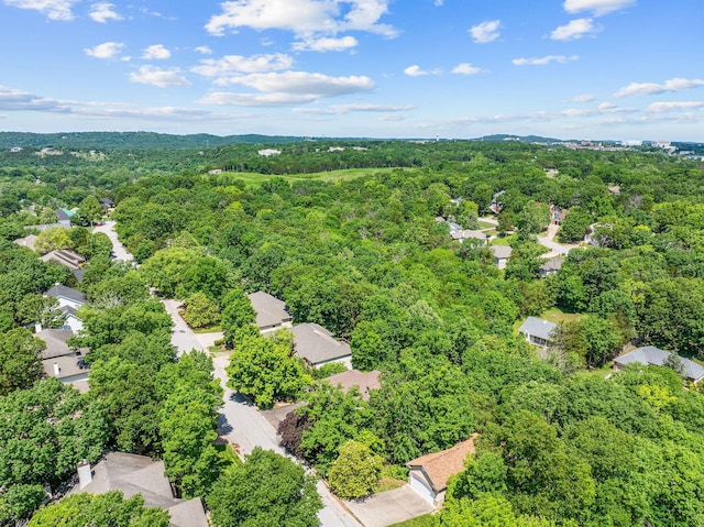261 Country Bluff Dr, Branson, MO 65616 - drone / aerial view of a heavily wooded area